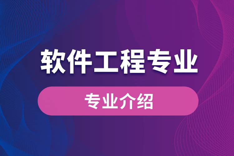 軟件設計與開發(fā) 從需求到創(chuàng)新的工程實踐